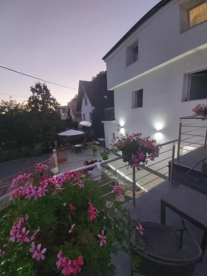 Rooms Panda Maribor Exteriör bild